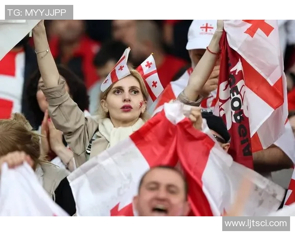 欧洲杯球迷支持与主场优势关系研究